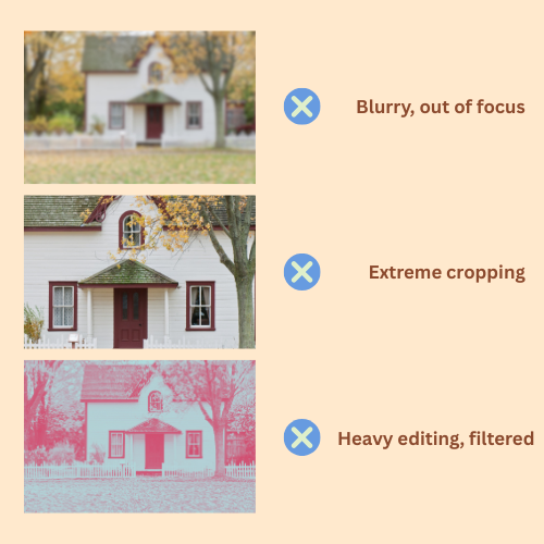 Custom House Painting – A5